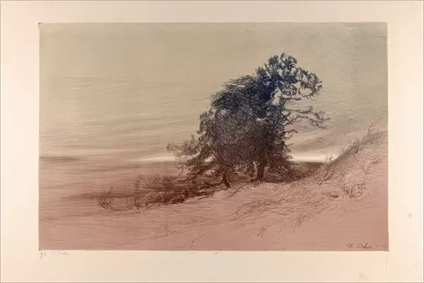 Landscape, Paysage, Charles Marie Dulac, French, Paris 1865-1898 Paris, 1893