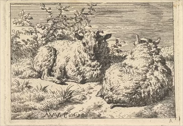 Two Recumbent Sheep 1670 Etching plate 2 15  /  16 x 3 7  /  8