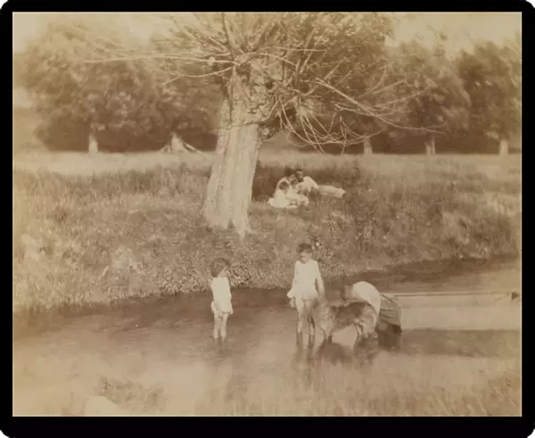 Three Children Dog Playing Creek July 4 1883