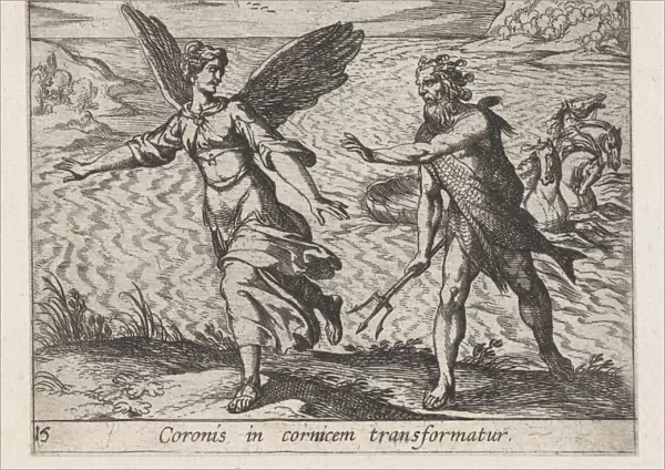 Plate 15 Daughter Croneus Changed Cow Coronis