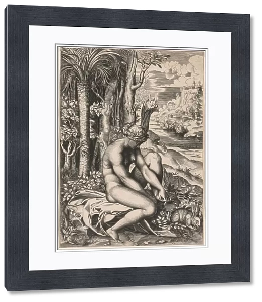 Venus Wounded Roses Thorn 1516 Marco Dente Italian