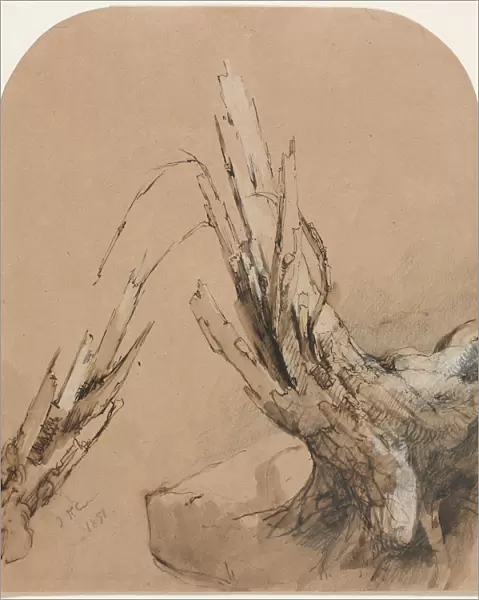 A Blasted Tree recto Floorplan verso 1851 Jasper F