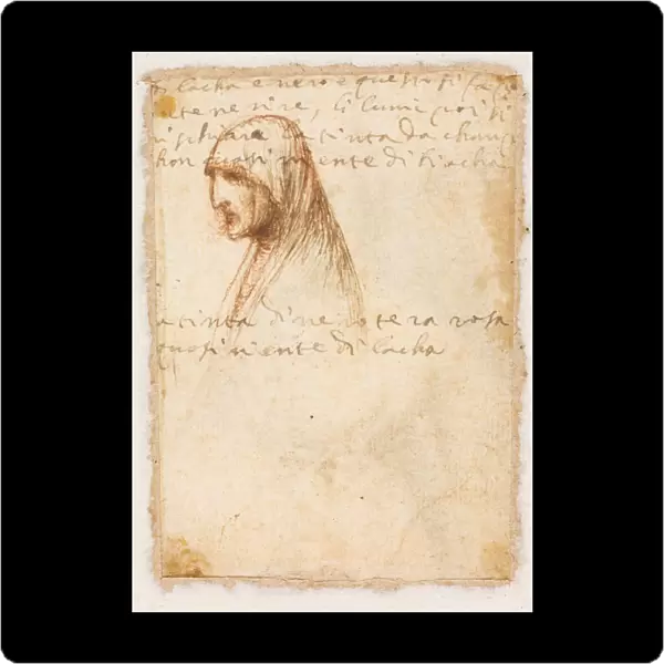 Bust-Length Profile Old Woman verso 1521. Dosso Dossi