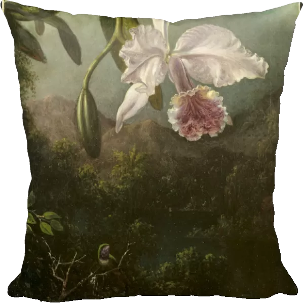 Orchid Blossoms 1873 Martin Johnson Heade American