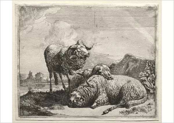 Ram Two Sheep 1665 Johann Heinrich Roos German