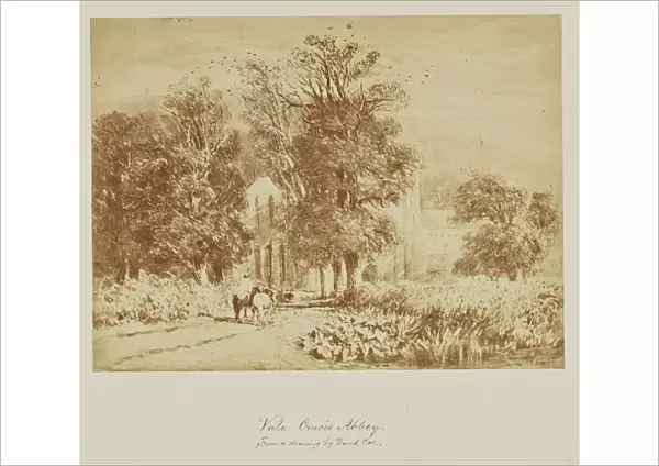 Vale Crucis Abbey. drawing David Cox 1865 Albumen silver print