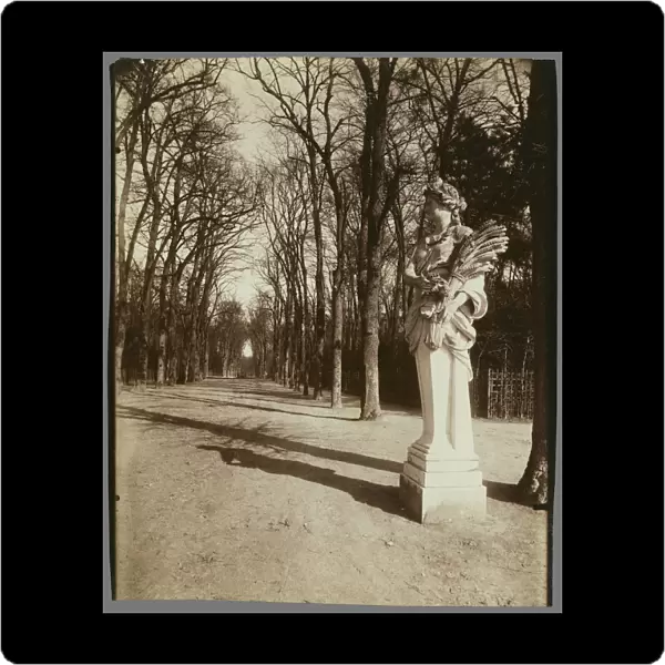 Park Versailles Eugene Atget French 1857 1927