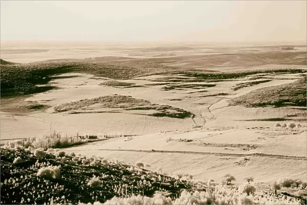 Plain Sharon Beit Jamal Valley Elah 1934 Israel