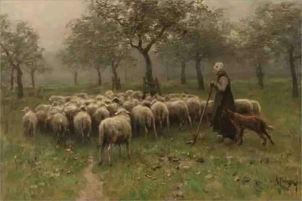 Shepherdess Flock Sheep herd sheep orchard shepherdess
