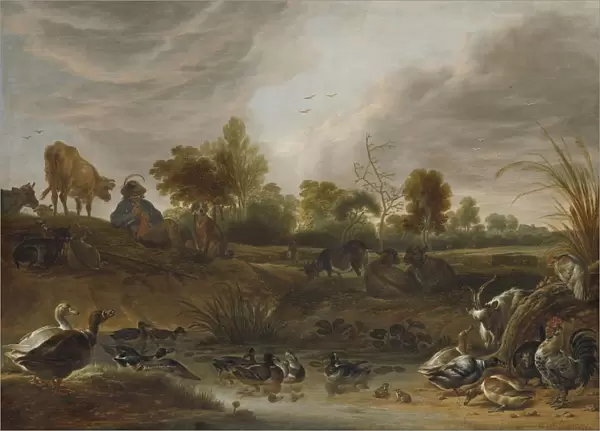Landscape animals Around puddle foreground different kinds
