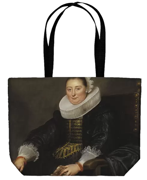 Cornelis de Vos Portrait Lady lady painting portrait