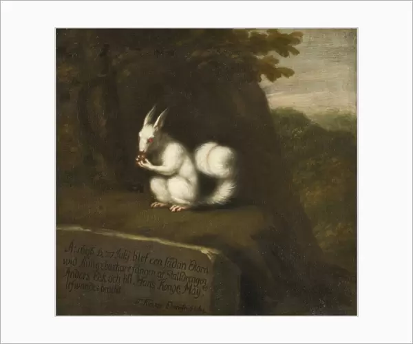 David KlAocker Ehrenstrahl White Squirrel Landscape