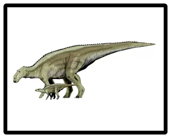 Maiasaura dinosaur and offspring