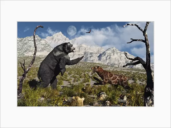 Confrontation between an Arctodus bear and a Sabre-Toothed Tiger