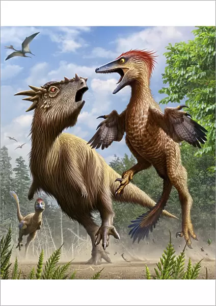Confrontation between Pectinodon bakkeri and a Stygimoloch