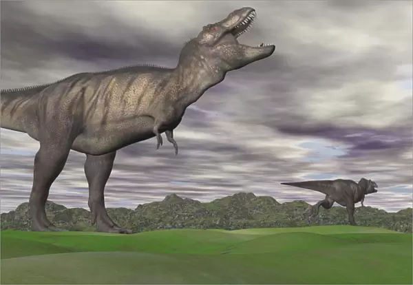 Tyrannosaurus Rex growling as a fellow T-Rex runs away