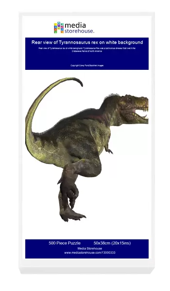 Rear view of Tyrannosaurus rex on white background