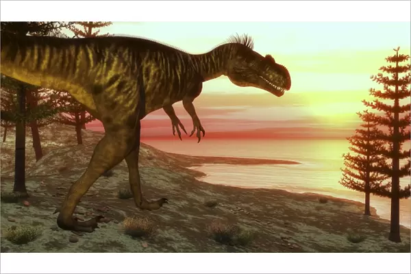 Megalosaurus dinosaur walking toward the ocean at sunset