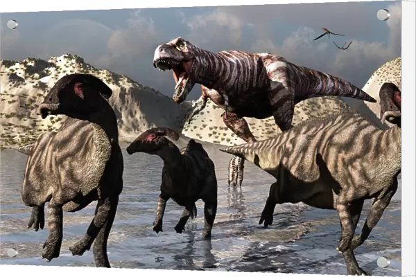 A Tyrannosaurus Rex moves in for the kill as Parasaurolophus Duckbill try to escape