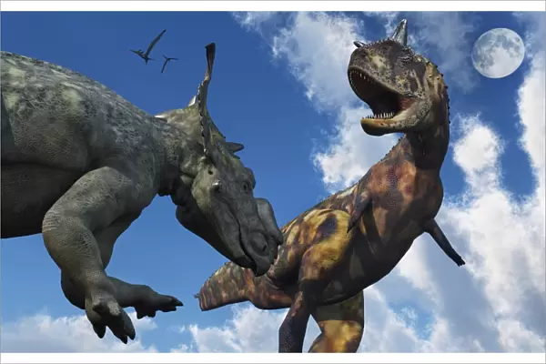 A Pachyrhinosaurus confronting a Carnotaurus