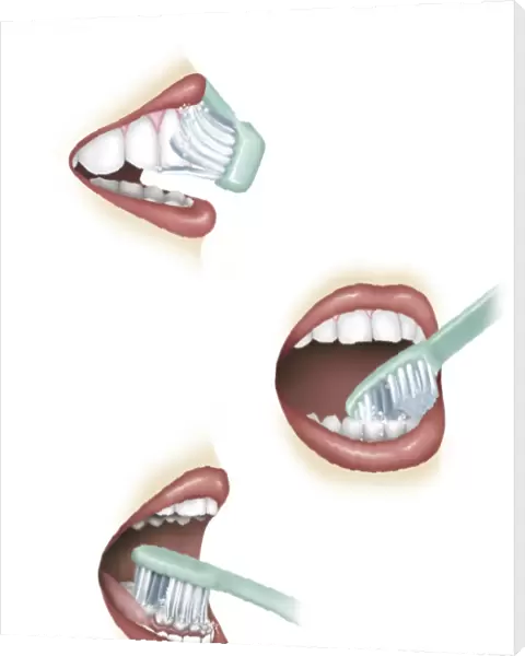 Three steps of proper tooth brushing