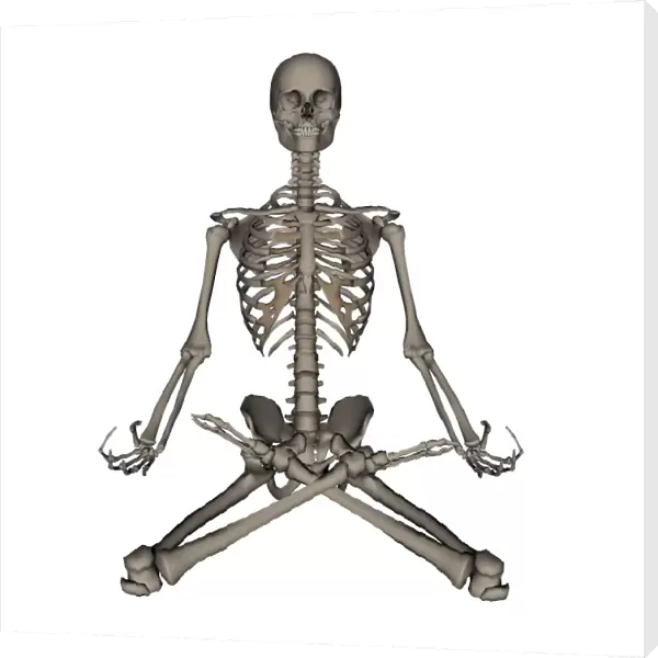 Front view of human skeleton meditation