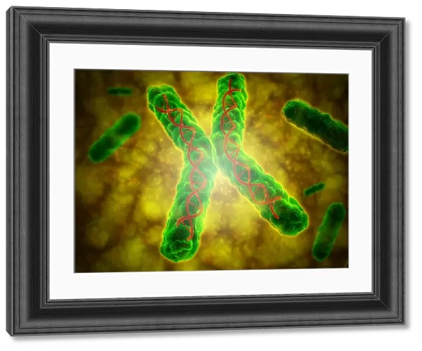 Conceptual image of a telomere