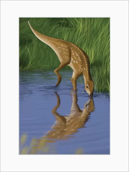 Hypsilophodon drinking water from a prehistoric lake