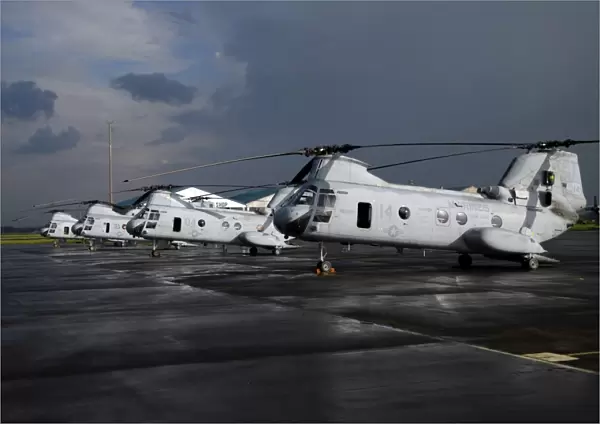 A row of CH-46 Sea Knights sit on the flight line