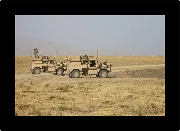 A pair of U. S. Army Cougar MRAP vehicles