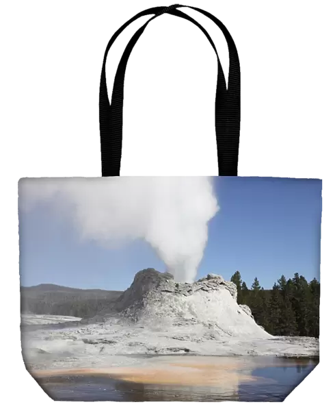 Castle Geyser steam phase, Upper Geyser Basin geothermal area, Yellowstone National Park