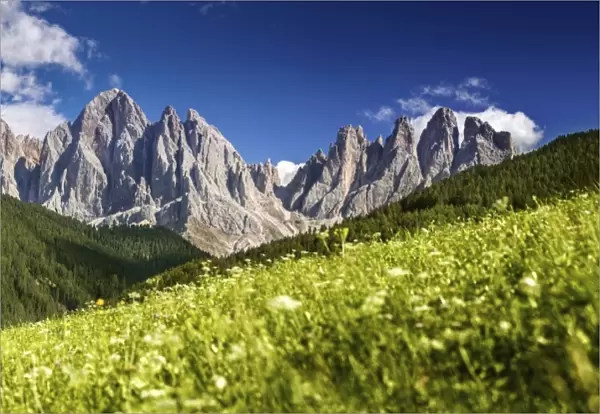 Panoramic view of Dolomite Alps and forest, Northern Italy