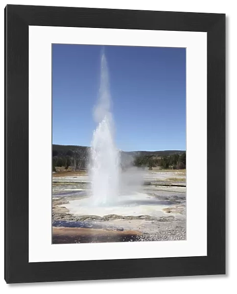 Sawmill Geyser, Upper Geyser Basin geothermal area, Yellowstone National Park, Wyoming