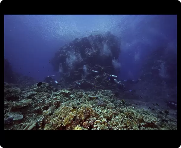 Divers explore Beqa Lagoons beautiful coral reefs, Fiji