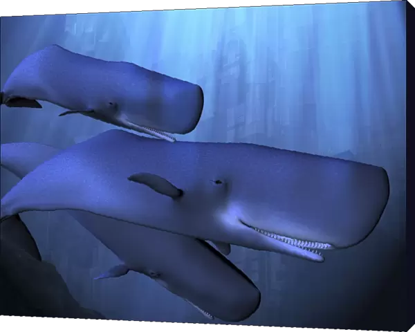 A sperm whale pod descends into the deep ocean near some ancient ruins