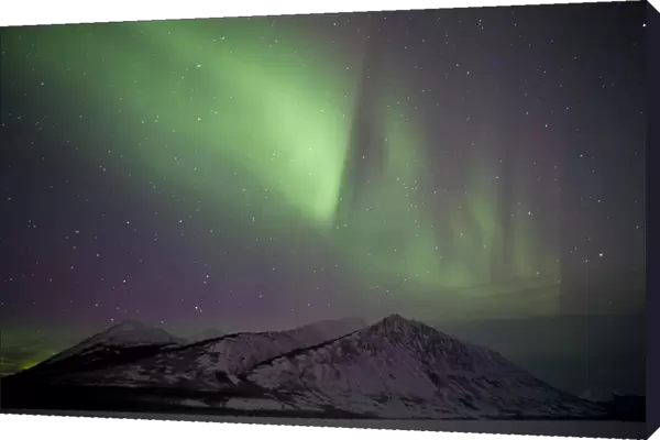 Aurora borealis over mountain range, Carcross, Yukon, Canada