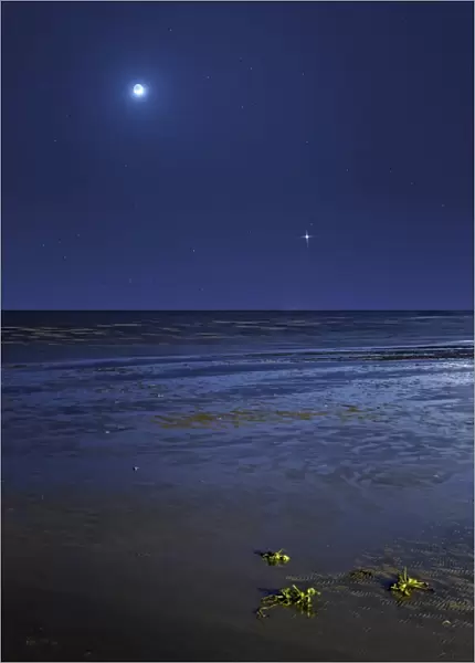 Venus shines brightly below the crescent Moon from coast of Buenos Aires, Argentina
