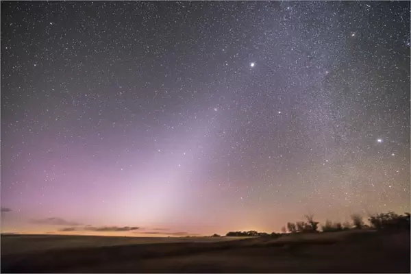 Zodiacal light in dawn sky, Alberta, Canada