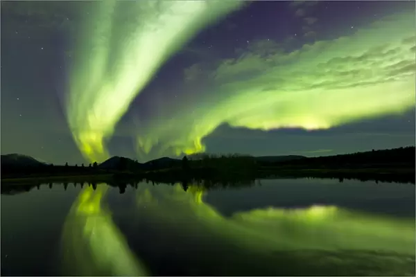 Aurora borealis over Fish lake, Whitehorse, Yukon, Canada
