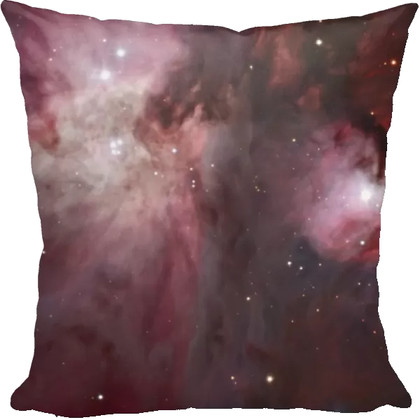 A view of the Trapezium region, which lies in the heart of the Orion Nebula