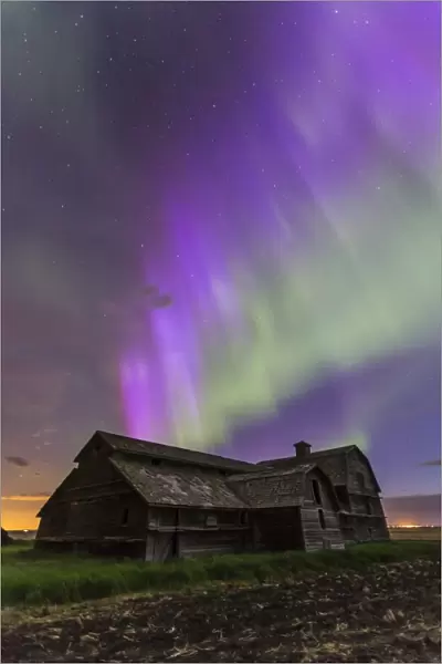 Purple aurora over an old barn in southern Alberta, Canada