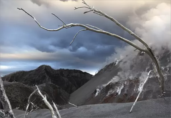 Chaiten eruption, steaming Dome, Los Lagos, Chile