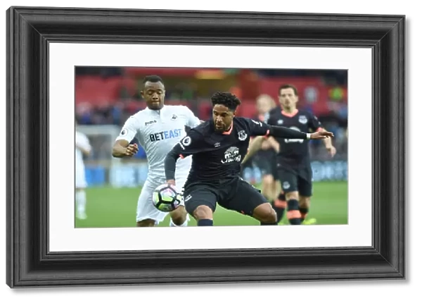 Ayew vs. Williams: Intense Battle at Liberty Stadium - Swansea City vs. Everton, Premier League 2016-17