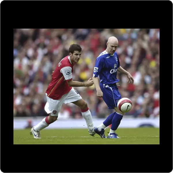 Arsenal v Everton Arsenals Francesc Fabregas and Evertons Andy Johnson