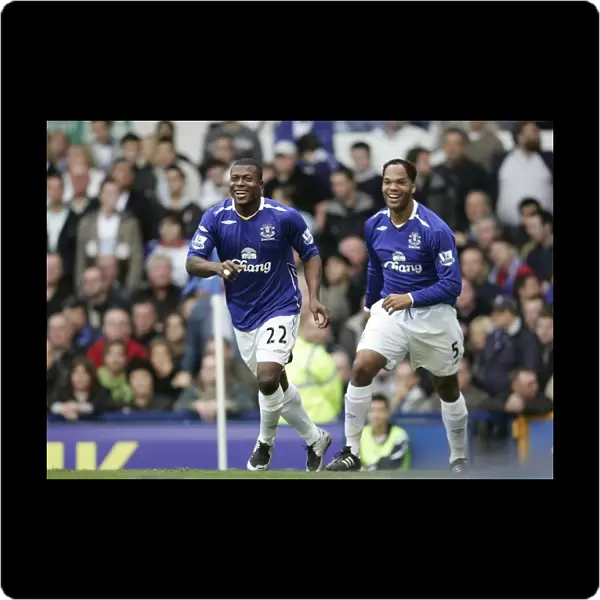 Everton vs Birmingham: A Look Back - Season 07-08