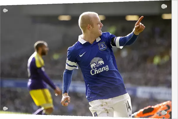 Steven Naismith's Brace: Everton's FA Cup Victory over Swansea City (16-02-2014)