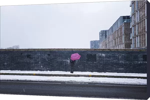 The pink umbrella