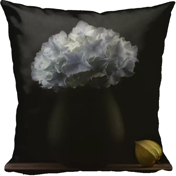 Hydrangea and vase