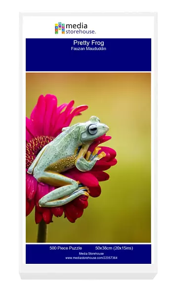Pretty Frog