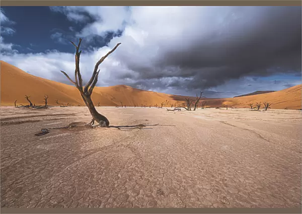 The past life of Deadvlei